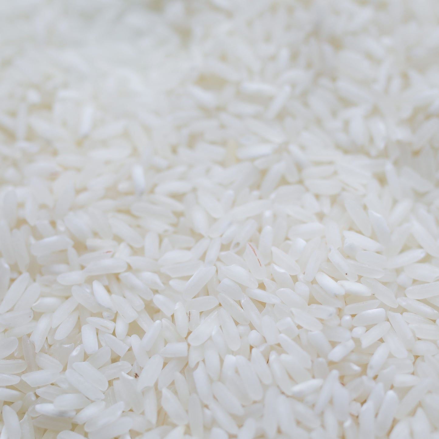 Arroz blanco