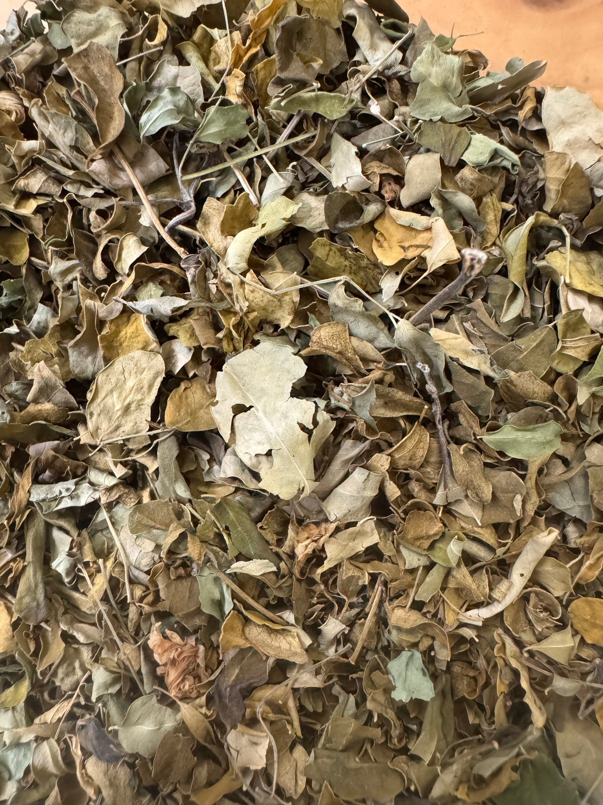 Hojas secas de moringa a granel