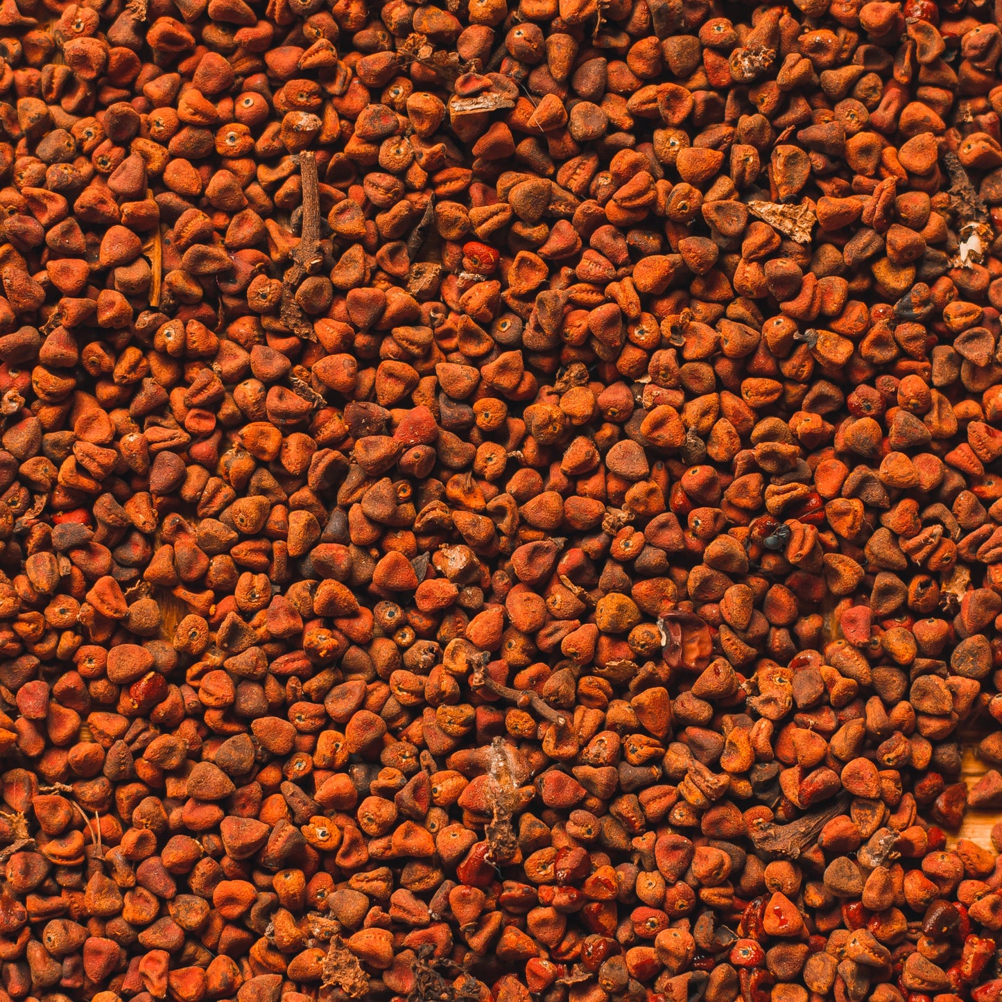 Achiote grano