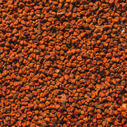Achiote grano
