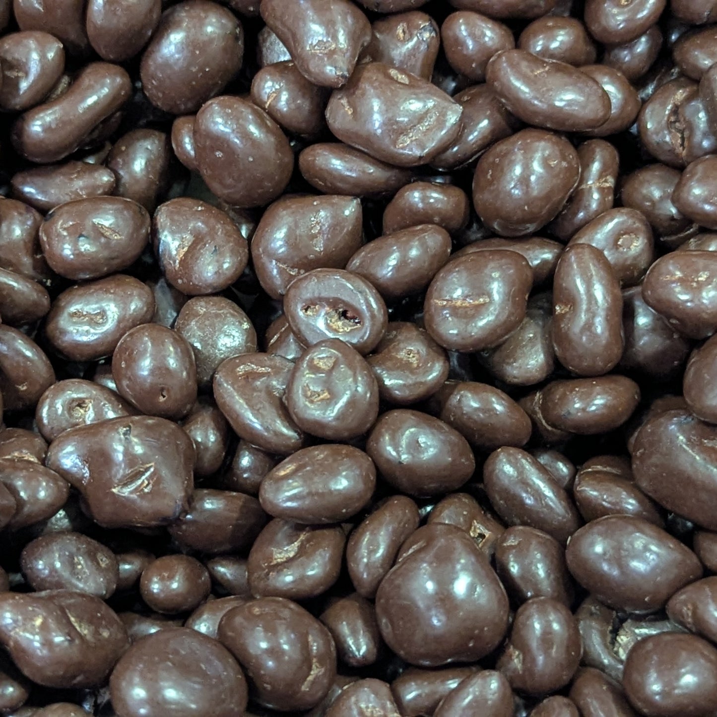 Arándanos con chocolate