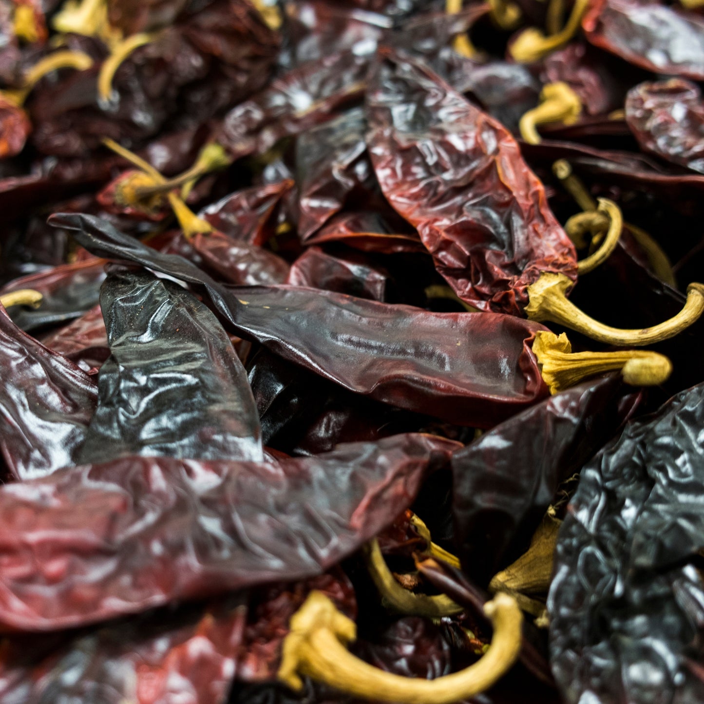 Chile Guajillo