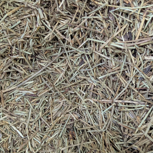 Cola de caballo