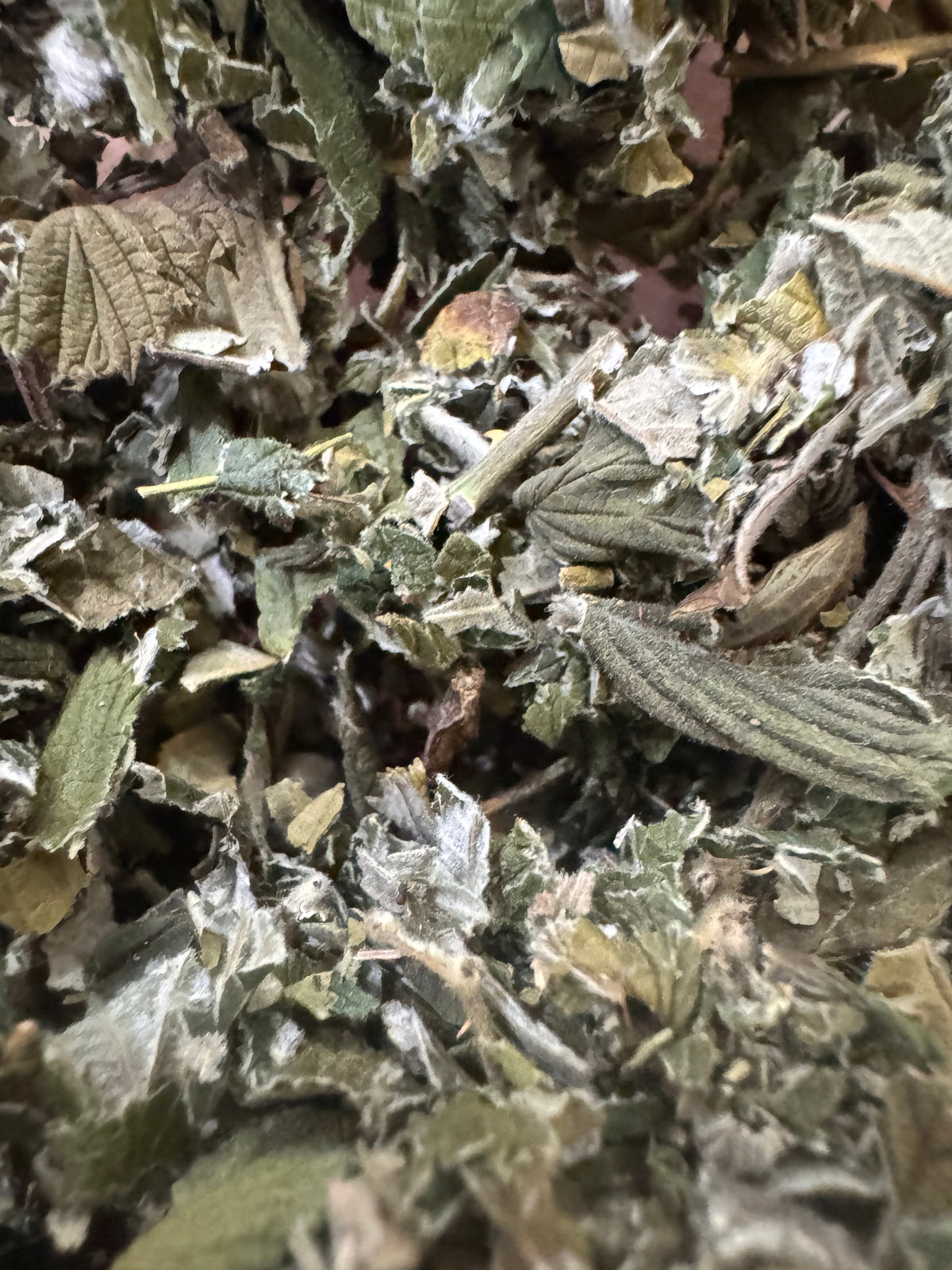 Hojas de frambuesa secas a granel