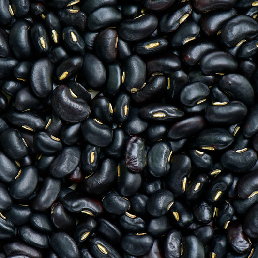Frijol negro