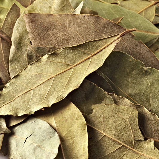 Hoja de laurel