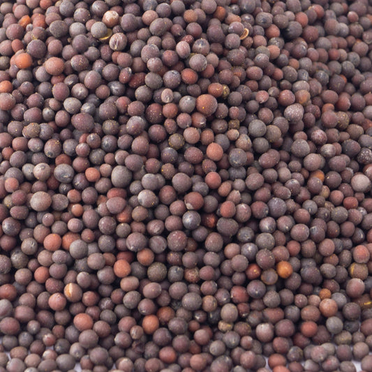 Mostaza en grano