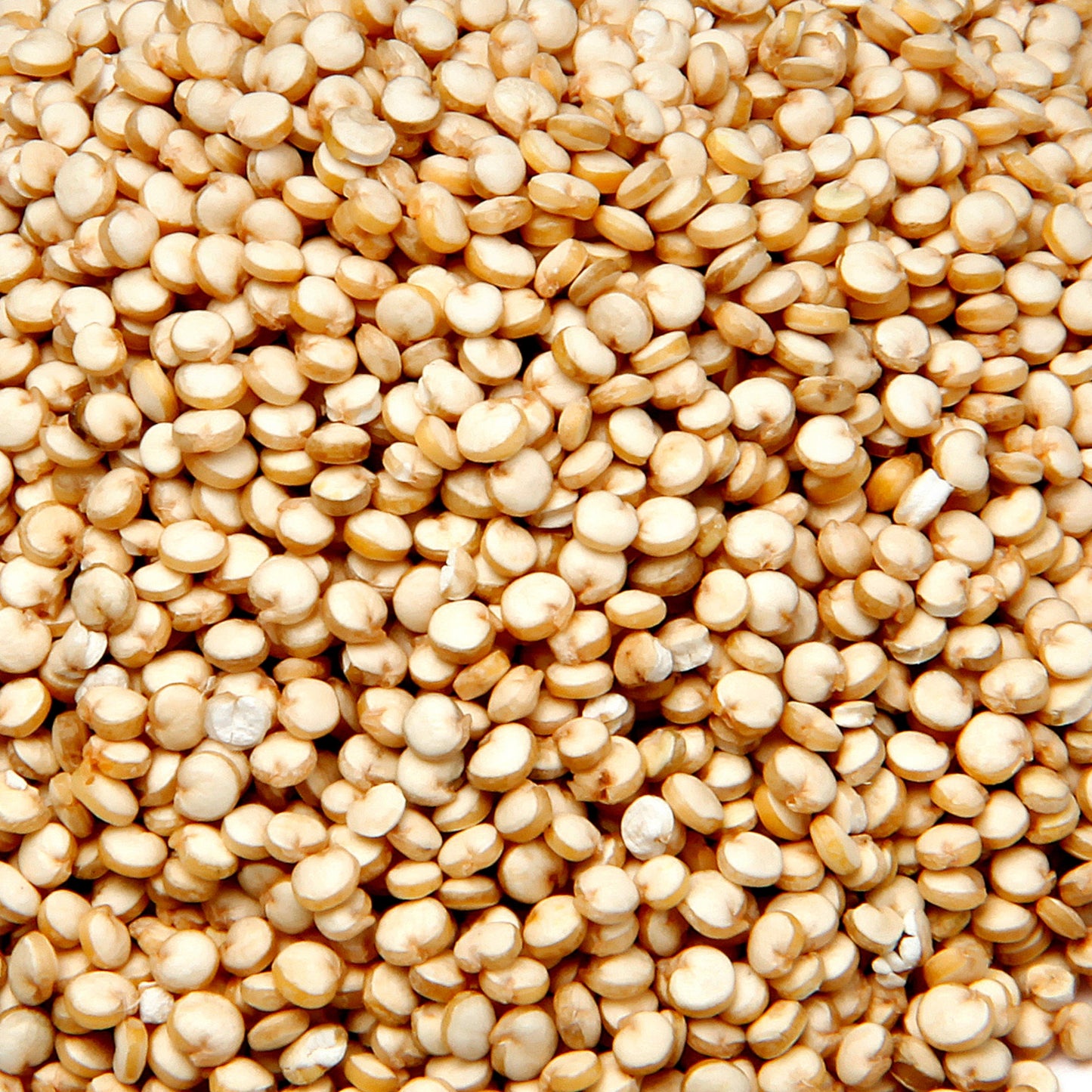 Quinoa