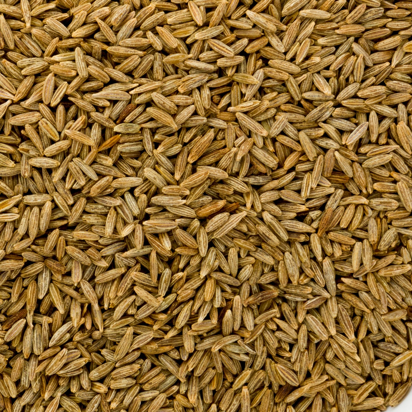 Semillas de comino